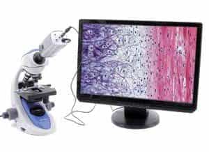 Sistema de video para microscopía-0