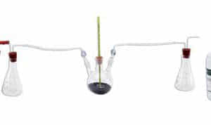 Aparato para demostrar la emisión de CO2 y de la producción de calor en las semillas germinantes-0