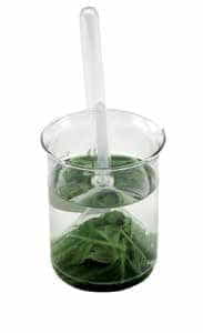 Aparato para demostrar la respiración de las plantas acuáticas-0