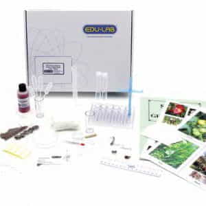 Kit de semillas y plantas verdes-0