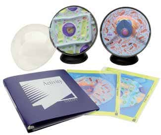 Maqueta de célula animal y vegetal con set de actividades-0