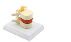 Simulador vertebral-0