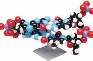 Juego para maqueta de ADN-0