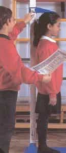 Medidor de la estatura-0